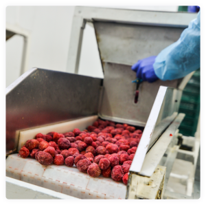 Ярофрут виробник