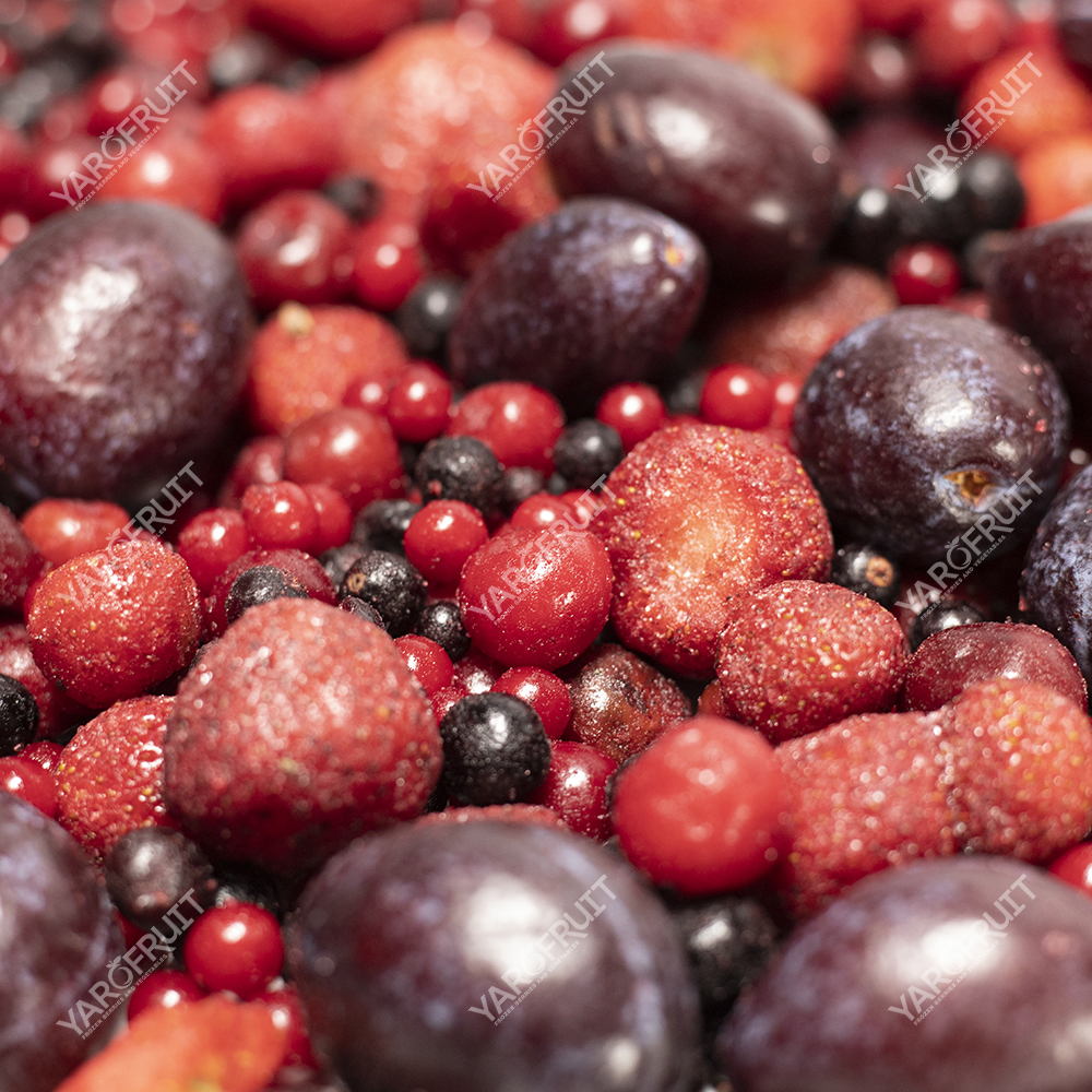 Суміш “Компотна” Заморожена Фруктова Ярофрут