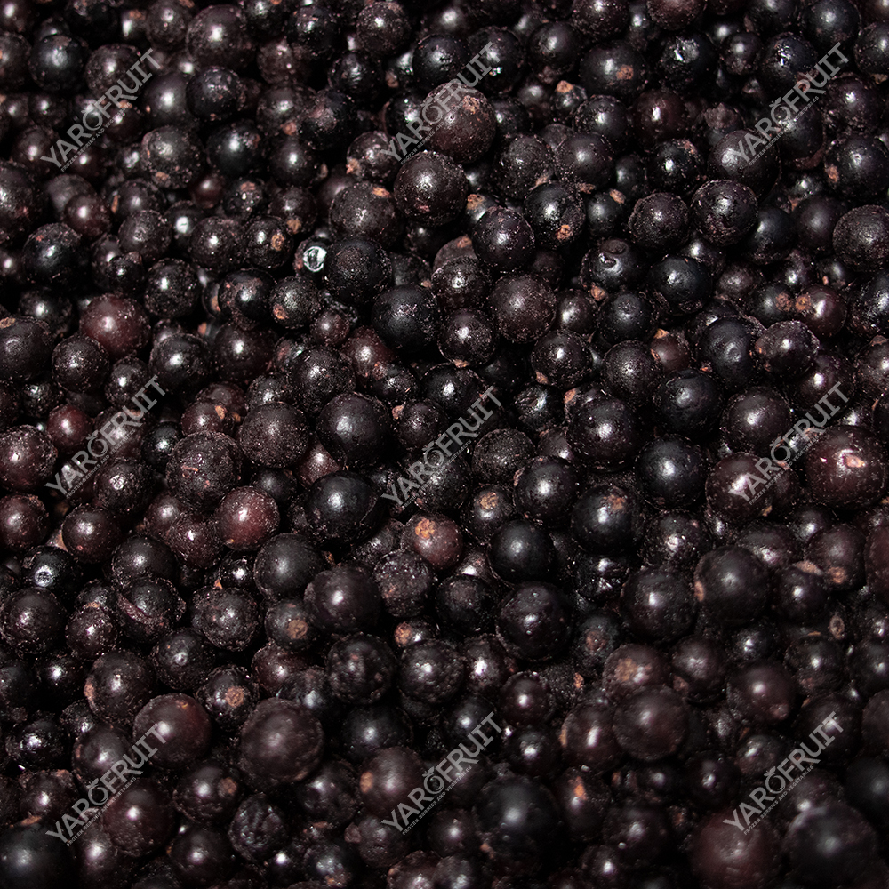 Смородина Заморожена Ярофрут Клас А