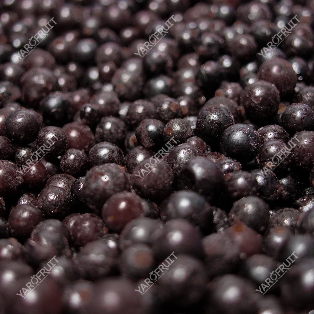 Смородина Заморожена Ярофрут Клас А
