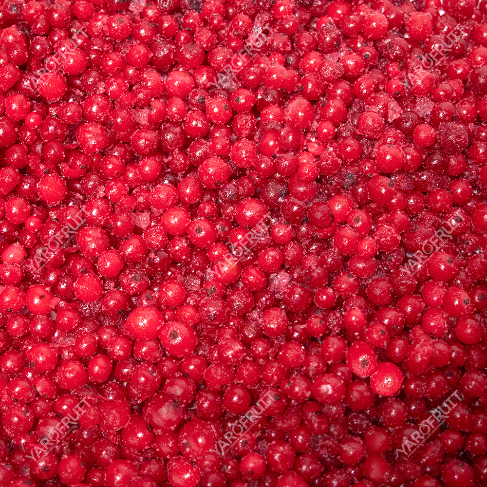 IMG_1268 Порічка Заморожена Ярофрут Клас А