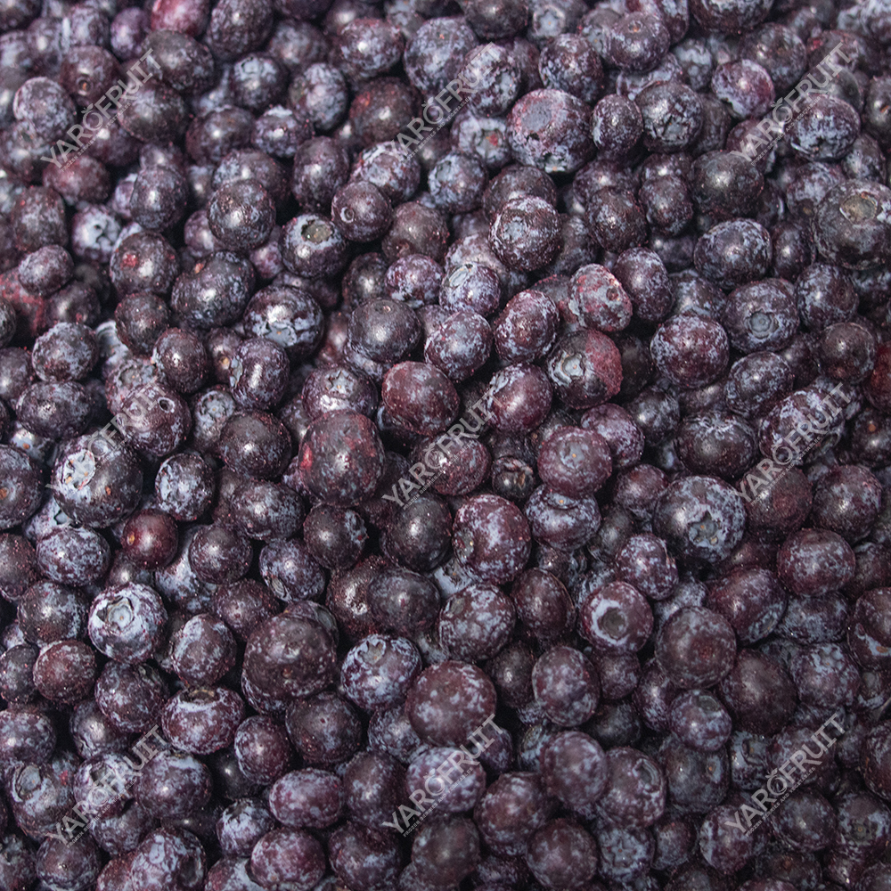 IMG_1357 Лохина Заморожена Ярофрут Клас В