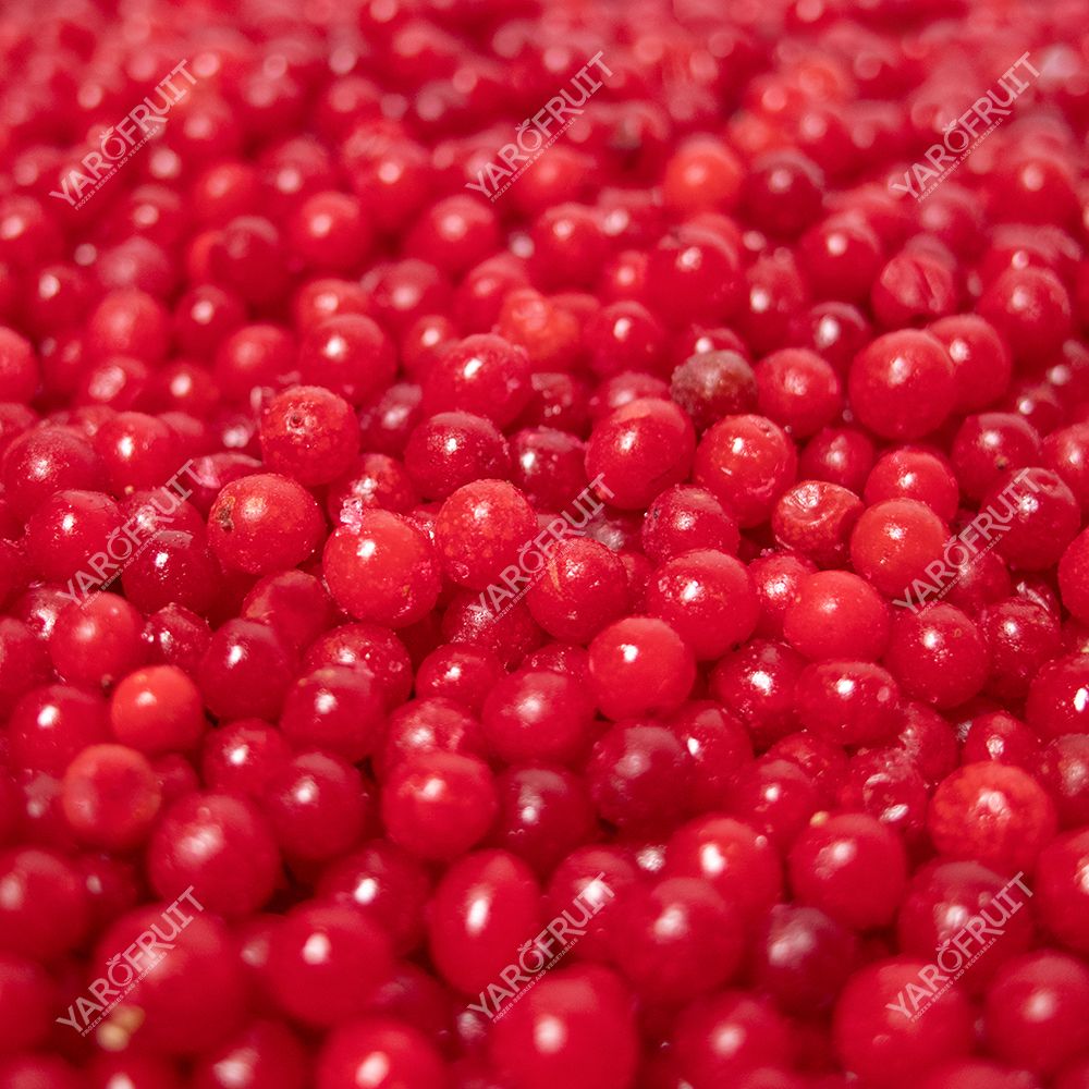 Журавлина Заморожена Ярофрут Клас А