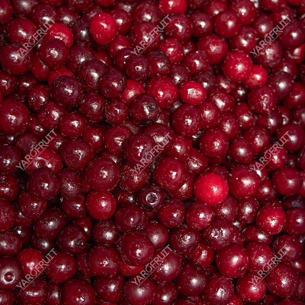 Вишня Заморожена Вишня Ярофрут З кісткою